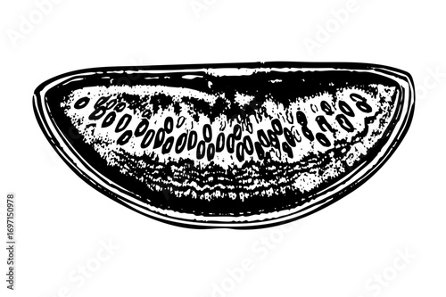 Vector Detailed of a watermelon slice with visible seeds.