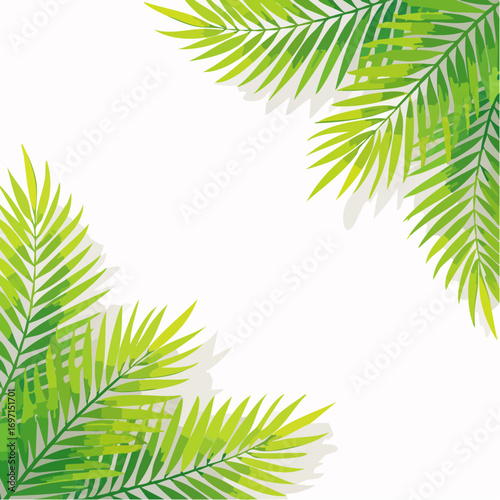 Vibrant Green Palm Leaves on White Background