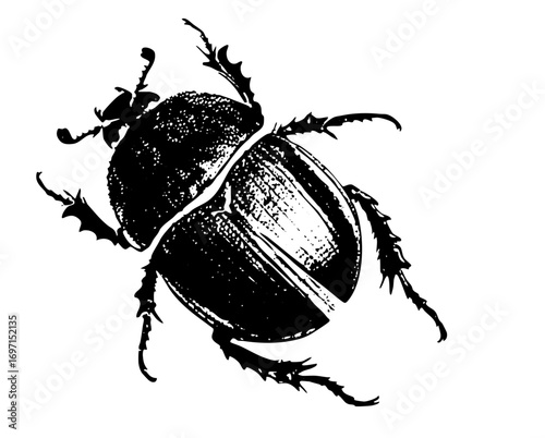 Vector Detailed black beetle showcases intricate exoskeleton features.
