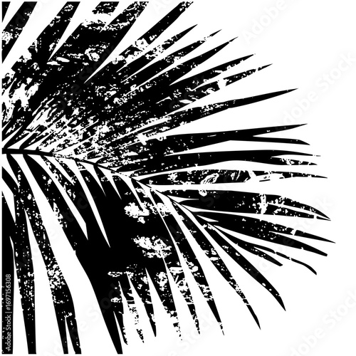 Vector Elegant palm frond with distressed texture.