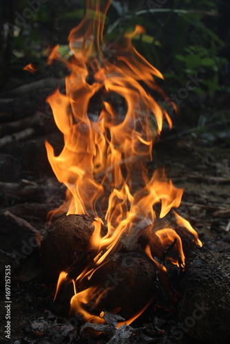 fire from coconut shell