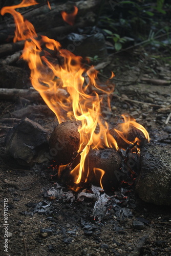 fire from coconut shell