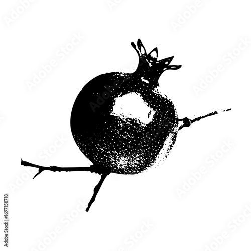 Vector Black silhouette of a pomegranate on a branch detailed .