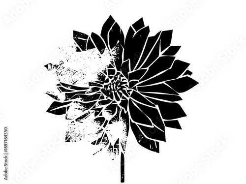 Vector Elegant dahlia flower with dissolving effect.