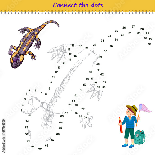 Connect the dots from 1 to 75 and draw the cute fire salamander. Trace the line between numbers. Coloring book. Develop counting skills. Logic puzzle game for kids. Activity sheet. Vector illustration
