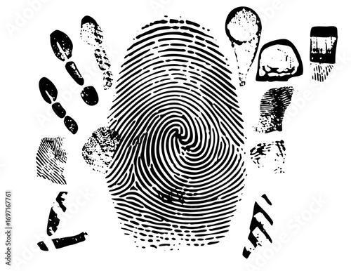 Vector Fingerprint Collection with Diverse Impression