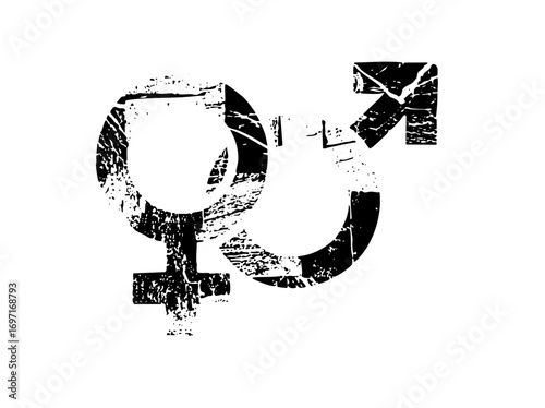 Vector Intertwined Gender Symbols Representing Equality