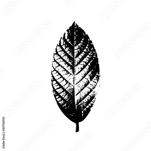 Vector Detailed black leaf with textured veins.