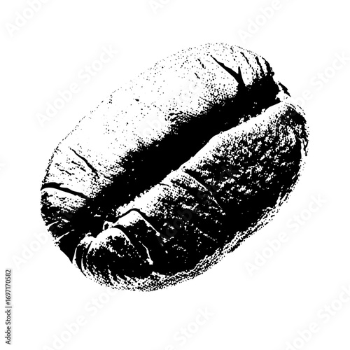 Vector Detailed of a coffee bean with textured shading.