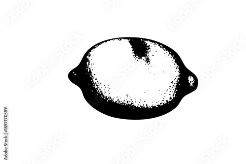 Vector Detailed monochrome lemon with textured surface.