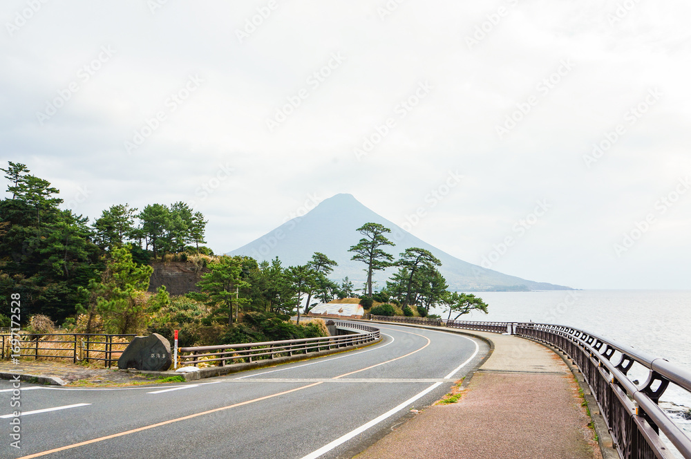 Naklejka premium 海沿いを走る指宿スカイラインと開聞岳の絶景