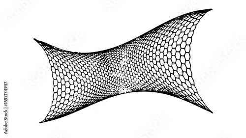 Vector Intricate network mesh with hyperbolic geometry.