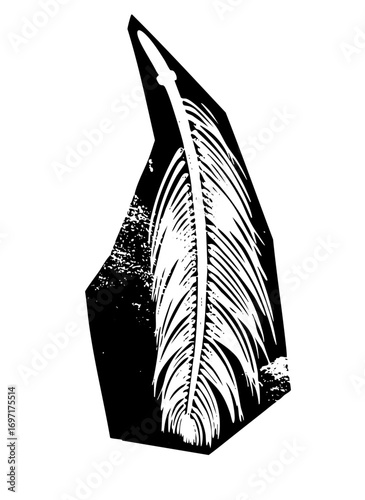 Vector Elegant feather and quill in monochrome style.