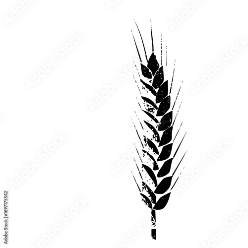 Vector Detailed black wheat stalk showcases agricultural bounty.