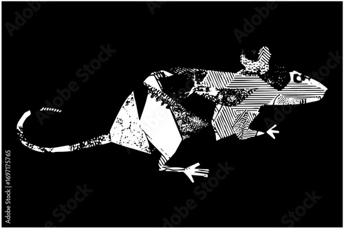 Vector Intricate rodent features patterned fur and dynamic pose.