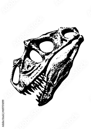 Vector Detailed dinosaur skull in monochrome style.