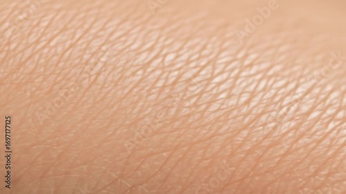 Human skins texture close up