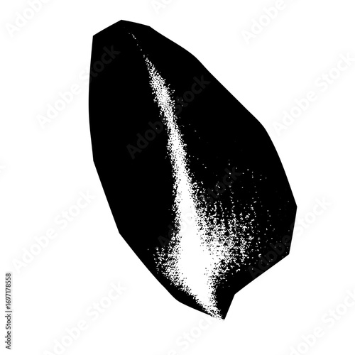 Vector Abstract black seed with white highlight