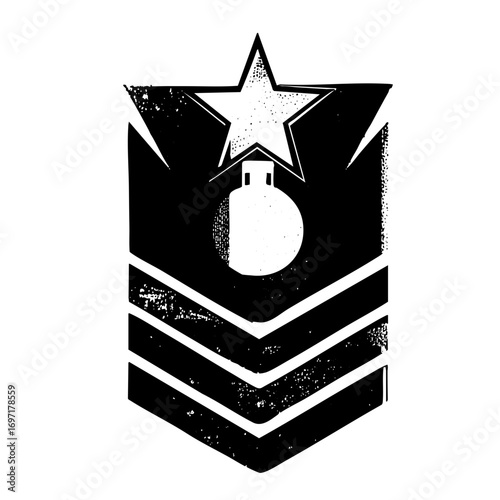 Vector Military insignia featuring a star above a grenade .
