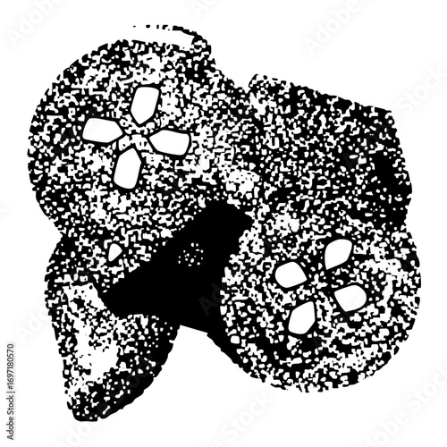 Vector Detailed of paired adrenal glands with central openings.