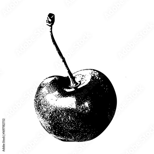 Vector Detailed of a single cherry with stem.