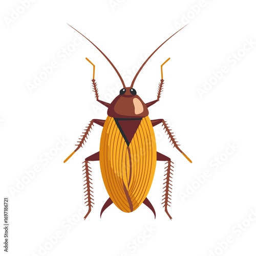 Detailed Vector Illustration of a Large Brown and Yellow Cockroach