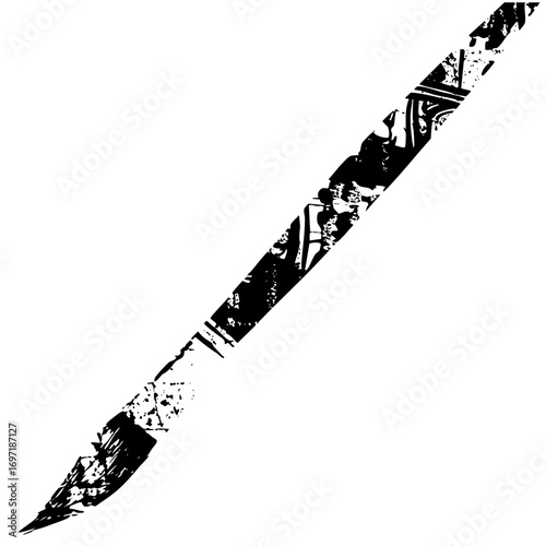 Vector Stylized pen stroke with decorative .