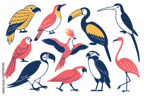 A collection of diverse tropical birds in flat illustration style with coral pink navy blue and yellow colors
