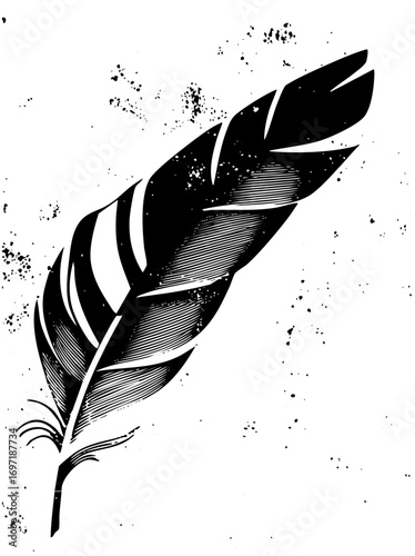 Vector Detailed black quill feather with linear shading.
