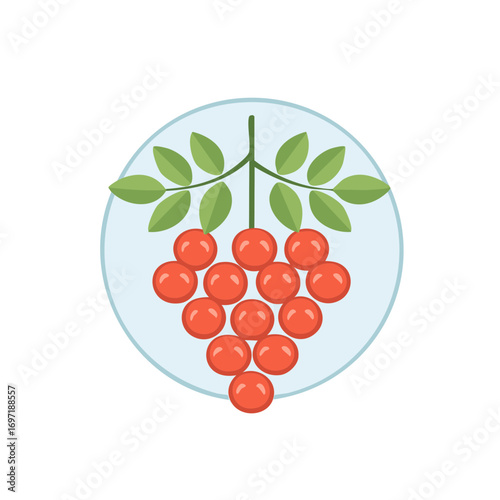 Simple flat icon of a rowan berry cluster with green leaves on a branch