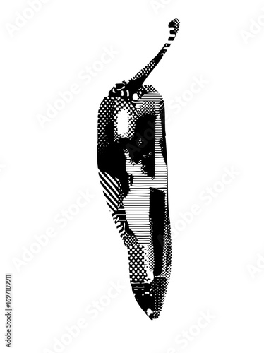 Vector Detailed vector of a vibrant chili pepper.