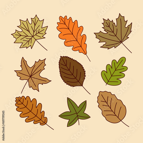 Autumn leaves oak maple aspen and birch fall foliage illustration