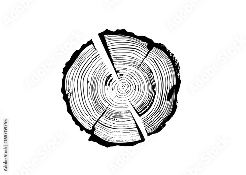 Vector Detailed tree rings with fractured segments.