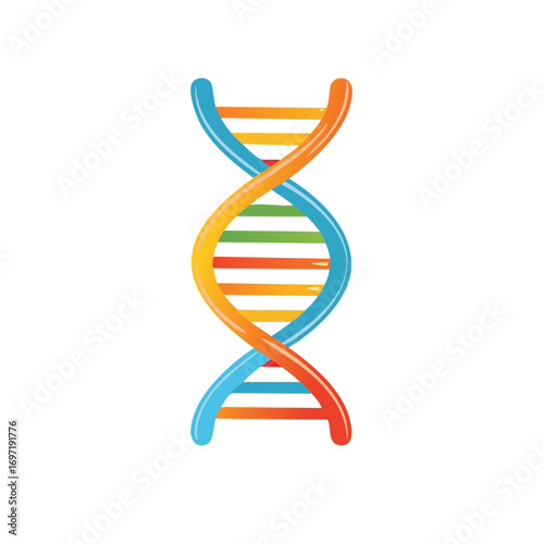 Colorful DNA double helix strand, genetic molecule structure for science education or medical research illustration