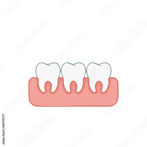 Vector illustration of healthy teeth and gums. Dental health concept.