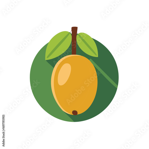 Flat Design Loquat Fruit Illustration with Leaves and Circle Background