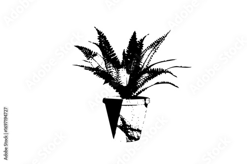 Vector Elegant fern plant in a decorative pot .