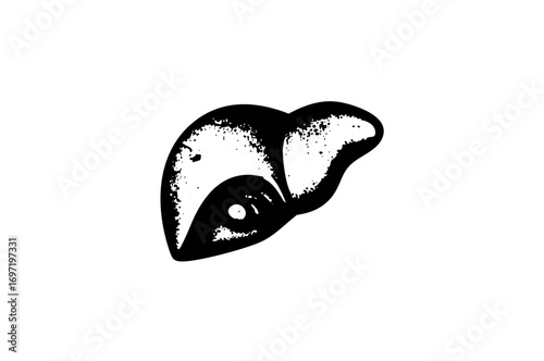 Vector Stylized raccoon face with contrasting shapes.