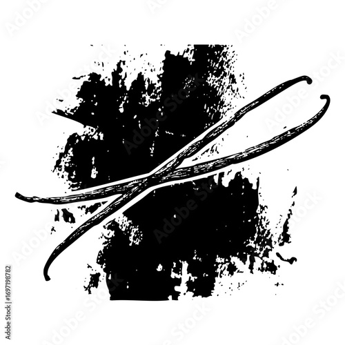 Vector Vanilla bean with abstract brushstroke .