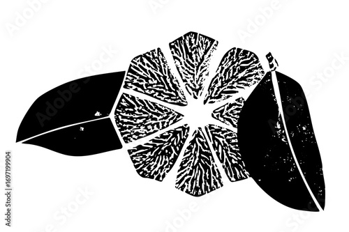Vector Citrus Fruit Slice