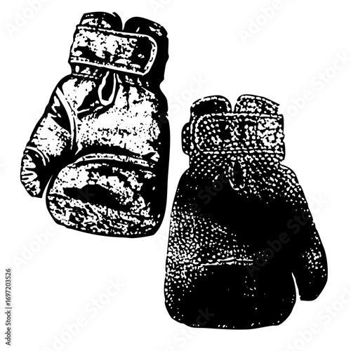 Vector Detailed boxing gloves in contrasting styles.