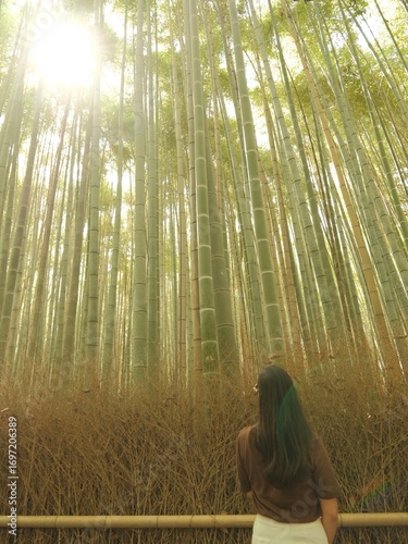 Papier peint Girl admiring bamboos