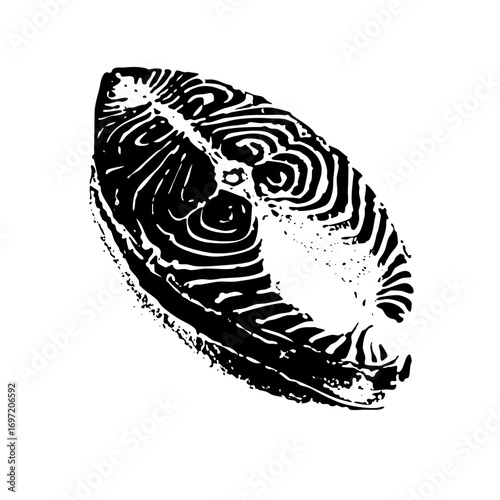 Vector Detailed of a salmon steak with swirling muscle fibers.