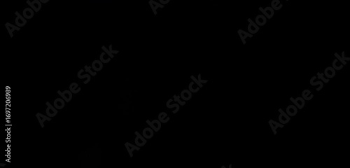 Wallpaper Mural Light leak, Light effect, Light transition, horizon light effect, high quality light footage, alpha Torontodigital.ca