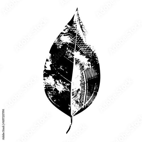 Vector Abstract leaf with distressed texture.
