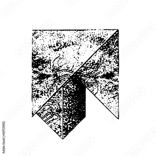 Vector Geometric spider with angular legs and body.