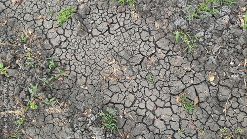A detailed top view of cracked dry soil with patches of green grass. This natural texture is perfect for environmental designs, drought-themed visuals, or realistic 3D terrain references.