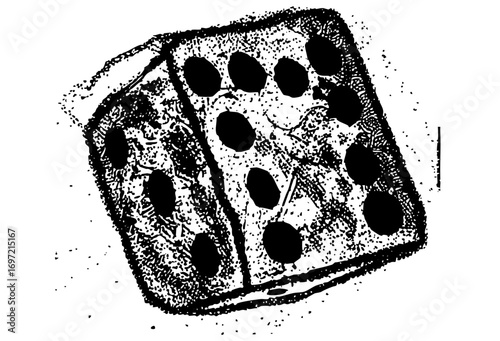 Vector Detailed of a six-sided die displaying the number five.