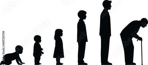 Human life stages silhouette, aging progression concept, baby to elderly, growth timeline, evolution of age, generational development, people aging illustration