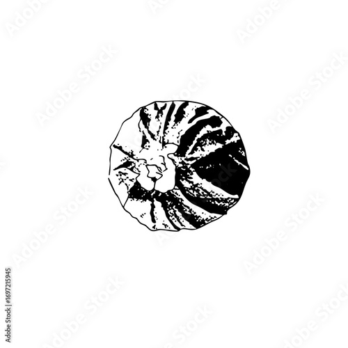 Vector Abstract swirling shape with a central opening resembling a stylized nautilus .